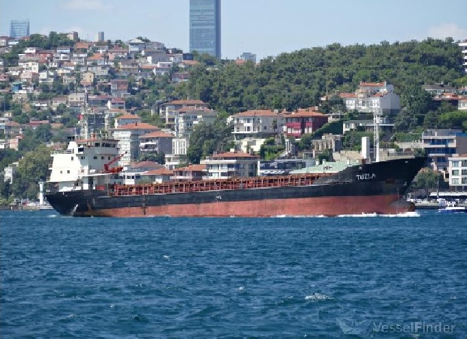 Турецкое грузовое судно пострадало от ракеты в Украине