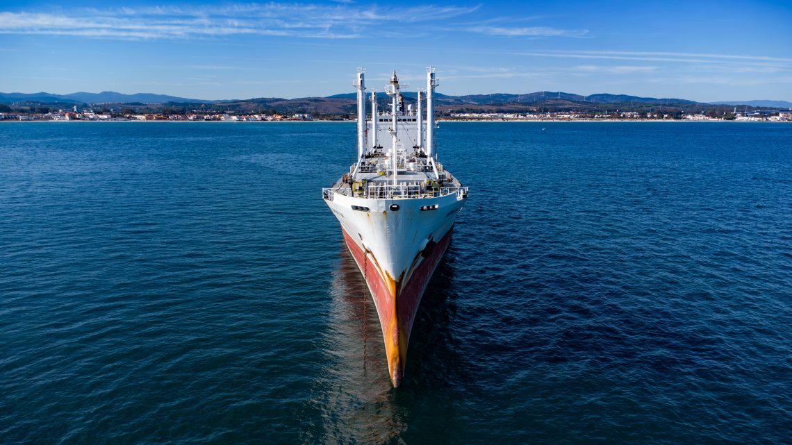 Reefer vessl on the anchorage. ph. by Capt. Tymur Rudov Product